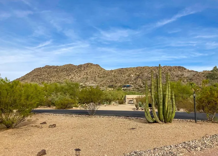 Cactus Cove *